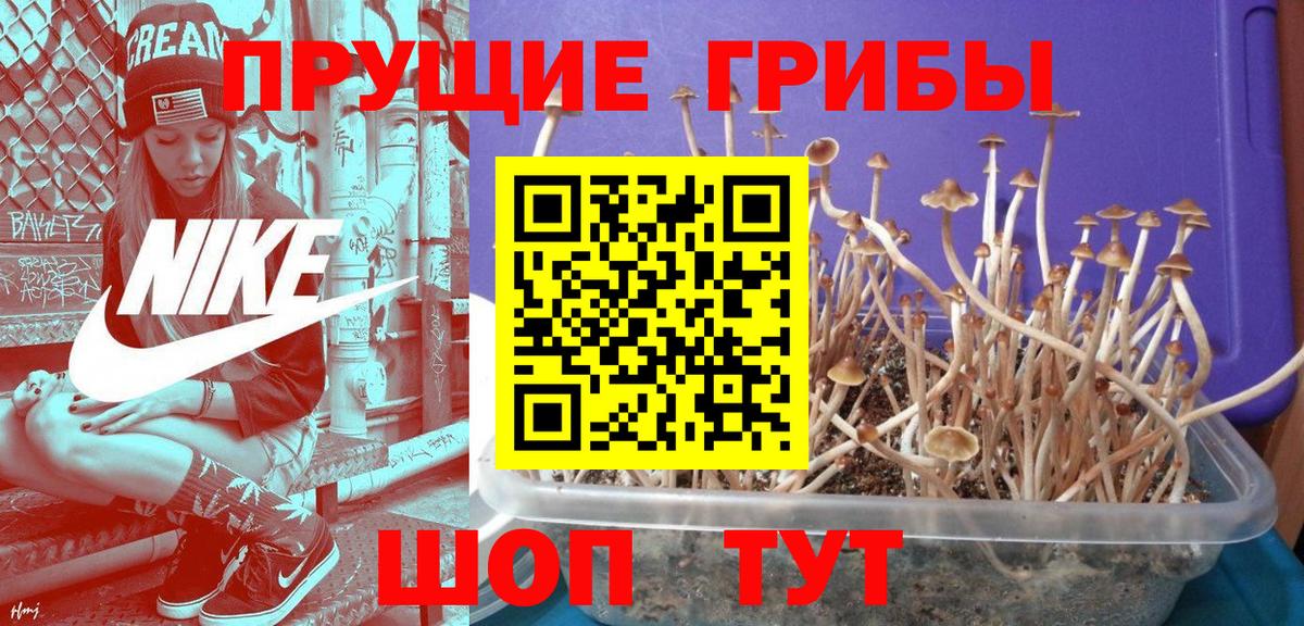Галлюциногенные грибы мухоморы  Вход с VPN  Подольск 