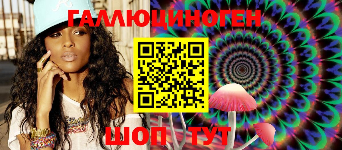Псилоцибиновые грибы Psilocybine cubensis Подольск